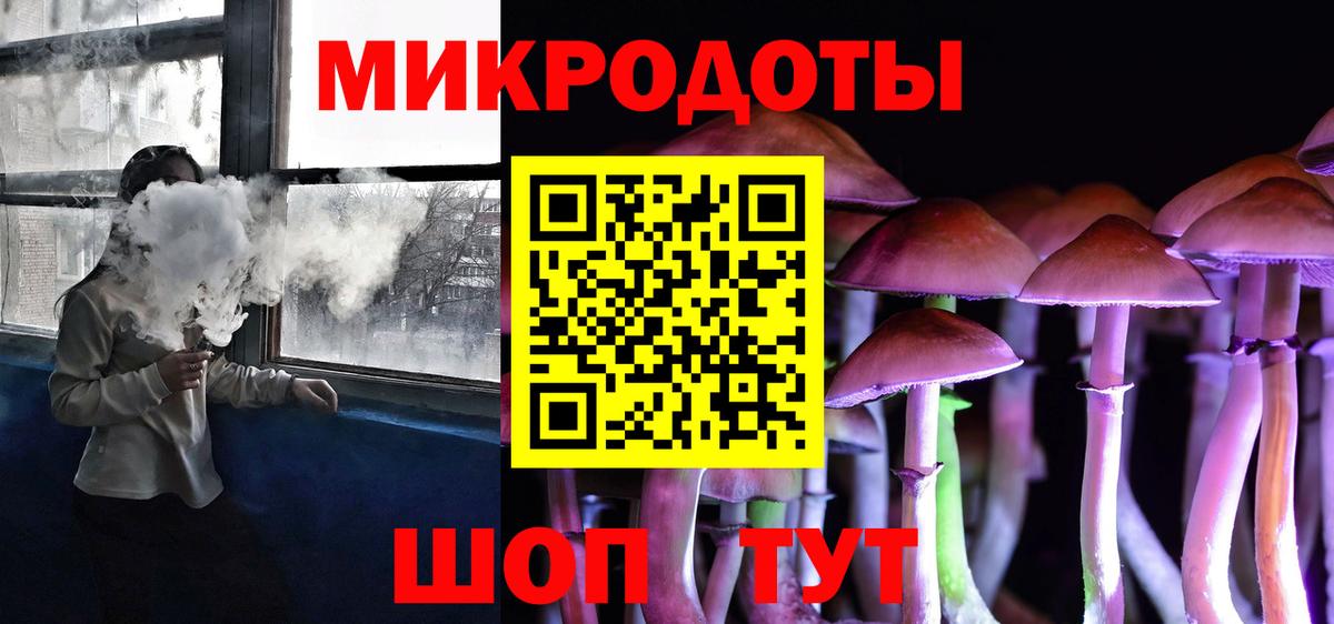 Димитровград  Галлюциногенные грибы Psilocybe  Вход с VPN  где продают наркотики  Галлюциногенные грибы прущие грибы 