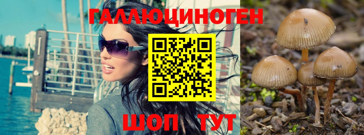 Псилоцибиновые грибы Magic Shrooms Димитровград